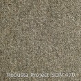 /products/robusta-project-sdn-470/